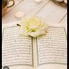 mdrakibulhassan264