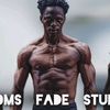 SOM'S FADE
