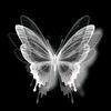 gizzzz__01