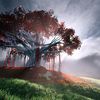 Nature Overly