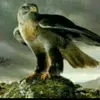 user9807182250380