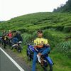 masnur5395