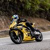 raizer885