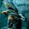 mahmoud.zaki56