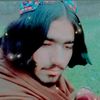 user41419620152663