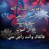 user41090699449611