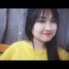 noe.noe8667