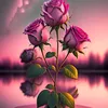 mahdi78114