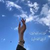amine1983r