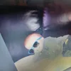 lulzemer1