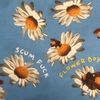 mandarine_du_44