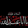 user3252259719020