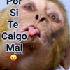luis.miguel.decen