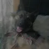 loredanamarangoci8