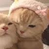 florillic