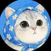 zoa_9l