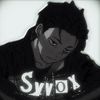 syvox_bs
