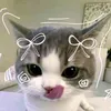 la.curiosa5