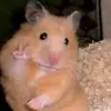 bbbomark3