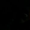 steven_s_t7