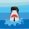 mr.sharkhair