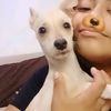 diana.guerr4