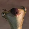 symsloth