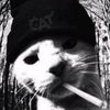 gataaauu27