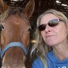 lynnhorsemanship