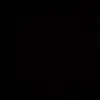 team_negro220
