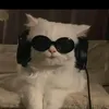 nalinh499