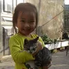 qhuylchi_151320