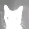 heashoheiheihei