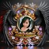 ocsela_dp.sander
