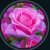 user2416934979912