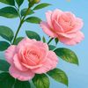 haneef.khan732