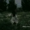 nguyn.thch.to5