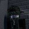 aoajqoskqlwk