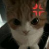 cyraaaww0