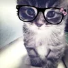 nikarss_ww