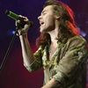 harrycsepel