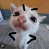 trongnghianguyenn