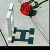 havi_194