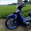 suriadii02