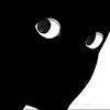 animer143