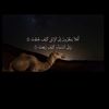 mody11.7