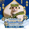 adam_kucing_peci