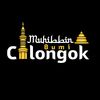 muhibbin bumi cilongok
