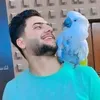 httpsvm.tiktok.co157