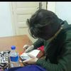 user1120842071708aya